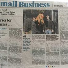 Irish Times Article, 19 March 2016
