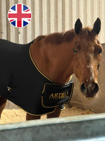 Ardeo horse sold to UK
