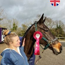 Ardeo Horses Winning around the World out Eventing