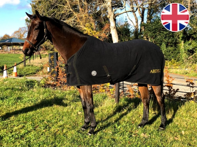 horse for sale horse sold united kingdown british eventing nation irish sport horse