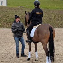 Harry Payne Dressage Clinics