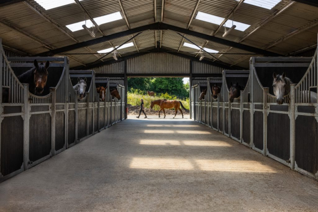 Stable facilities at Ardeo Sport Horses