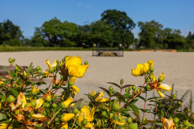 Outdoor equestrian arena. Copyright Dulra Photography
