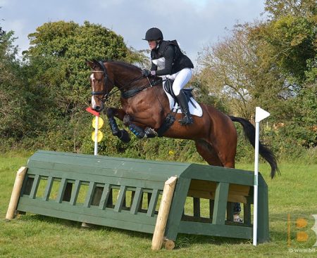 Hillcrest EI110 Winner