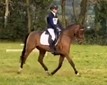 Hillcrest(2) EI110 Event Report