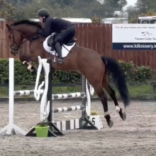 Showjumping Ireland Killossery