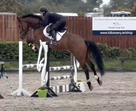 Showjumping Ireland Killossery