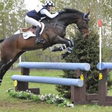 Ardeo Graduates Successes- 2*S Winner