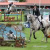 Dublin Horse Show