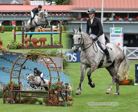 Dublin Horse Show