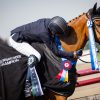 Preliminary Champion