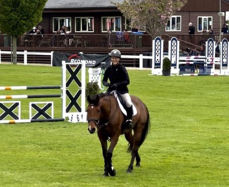 The HSI Studbook Show Jumping Series