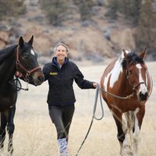 Testimonial from US based amateur event rider