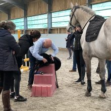 Saddle Fitting Mastery: A Week at WOW Saddles HQ