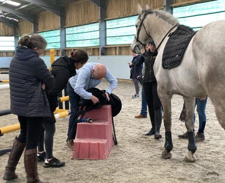 Saddle Fitting Mastery: A Week at WOW Saddles HQ