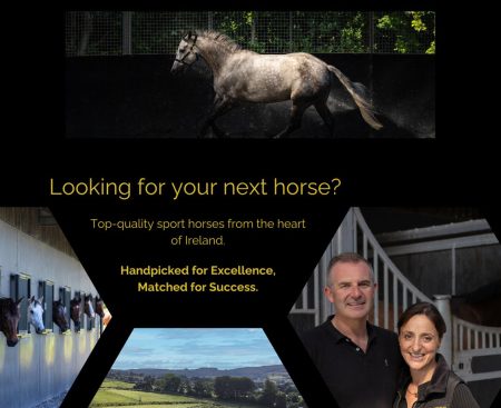 MonoShield & Ardeo Sport Horses at Ocala Horse Show