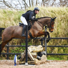 Ardeo on Q winner at Balmoral Qualifier