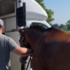 Behind the Scenes of an International Export